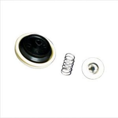 SHURFLO SHURFLO CHECK VALVE KIT - 9423700