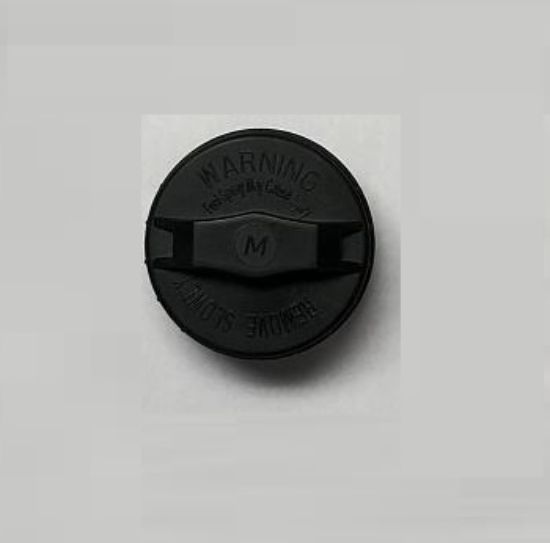 RDS MFG INC PLASTIC FUEL CAP - 00093