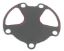 SIERRAMARINE WATER PUMP GASKET - 180916