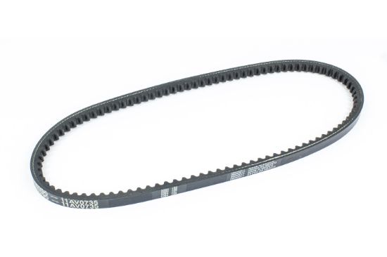 SIERRAMARINE V-BELT - 1815400