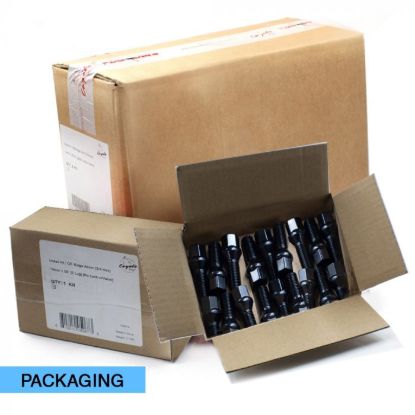 REVOLUTION BLT M17 M14X40(20)BK - 84K55640BL
