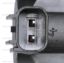 STANDARD IGN CANISTER PURGE VALVE - CP758