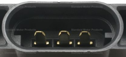 STANDARD IGN PIGTL/SKT - S776