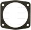 STANDARD IGN THROTTLE BODY INJECTION FLANGE GASK - TBG144