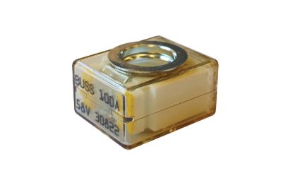 SAMLEX AMER 100 AMP FUSE ONLY - MRBF100