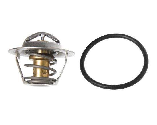 SIERRAMARINE THERMOSTAT - RAW WATER - 183615