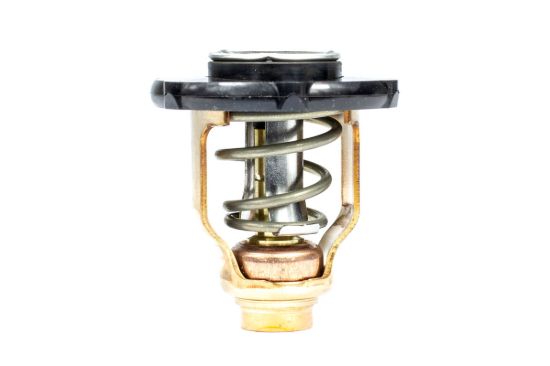 SIERRAMARINE THERMOSTAT KIT - 183639