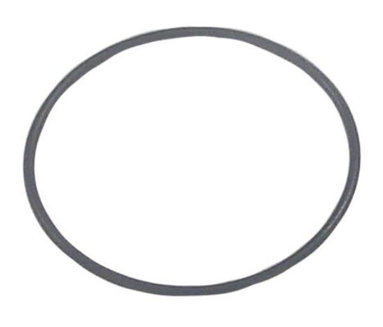 SIERRAMARINE O-RING (PRICED PER PKG OF 2) - 1874289