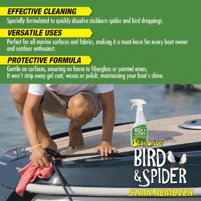 STAR BRITE SPIDER & BIRD STAIN REMOVER 22 OZ. - 095122P