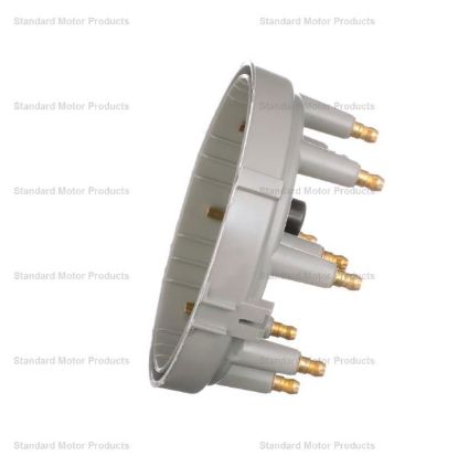 STANDARD IGN CAP - FD168