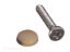 RV DESIGNER 14PK DASH SCREWS W/ CAPS - H619