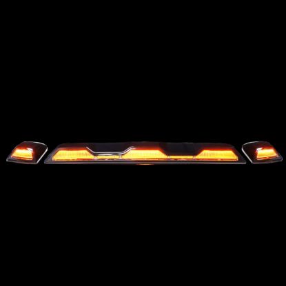 RECON ACCESS CAB LIGHTS - 264158XAM