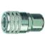 TRUFLATE COUPLER PUSH C40 STL 1/4 - 13755
