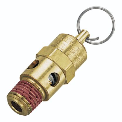 TRUFLATE VALVE SAFETY 1/4 125 PSI - 21707