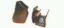 SHOWR ENCLOS MIRROR DOOR TRAVEL LATCH - BL75DC