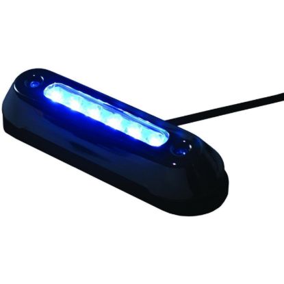 T-H MARINE BLUE OVAL SS BEZEL LED - EDSM7815BD