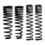 SKYJACKER F & R COIL SPRINGS - GR60FR