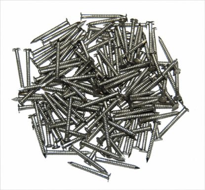 TAYLOR MADE 1-1/4' #12 SS NAIL (RING SHANK) - 95999