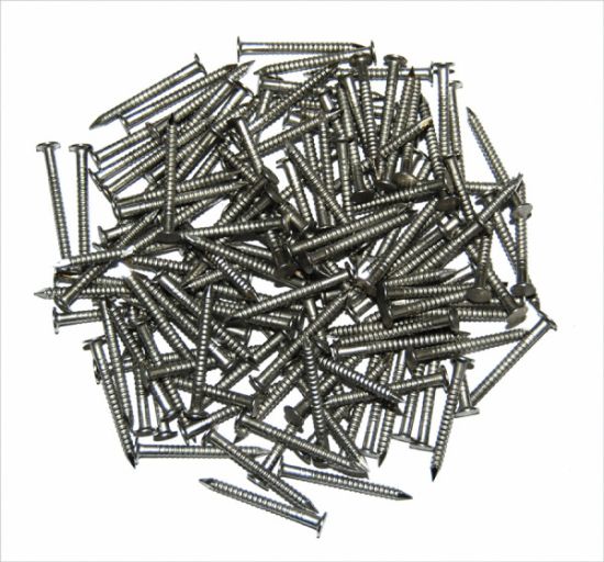 TAYLOR MADE 1-1/4' #12 SS NAIL (RING SHANK) - 95999