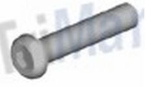 TRIMARK LONG OVAL HEAD MOUNTING S - 1555501