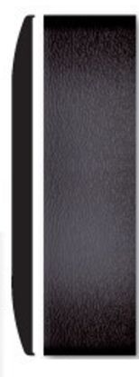 TRIM-GUARD SIDE MOLDING COLORADO 03-C (BLACK) - 3502E16