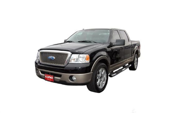 VENTSHADE CO BUG 1 F-150 SMK 04 - 23815