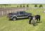 TRUXEDO DODGE RAM 1500 8' 09 - 248901