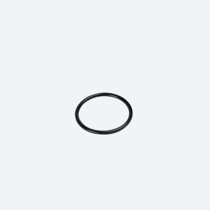 VP FUEL LARGE CAP O-RING REPLACEMENT BAGGED - 3043B