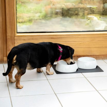 SILWY MAGNET PORCELAIN FEEDING BOWL SET - FNP3