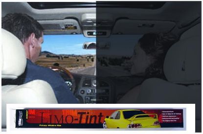TRIMBRITE LIMO TINT - T1756