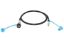 FLAME KING 48' QUICK CONNECT HOSE - 10039548