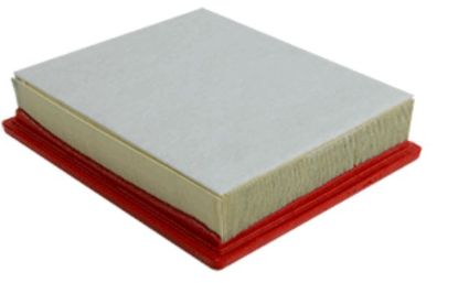 WIX FILTR LD AIR FILTER - WA10085