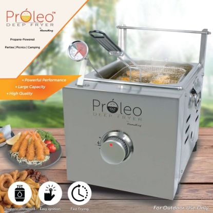 FLAME KING PROPANE DEEP FRYER - PROLEO