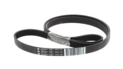 WESTLAND BELT DRIVE 1201-1198J6 21X/71/L129/ - 119126