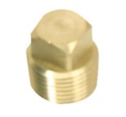 WHITECAP IND 1/2' BRASS PLUG ONLY - S5052C