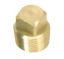 WHITECAP IND 1/2' BRASS PLUG ONLY - S5052C