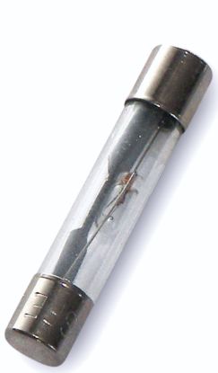 WIRTHCO AGC GLASS FUSE-30 AMP - 24630
