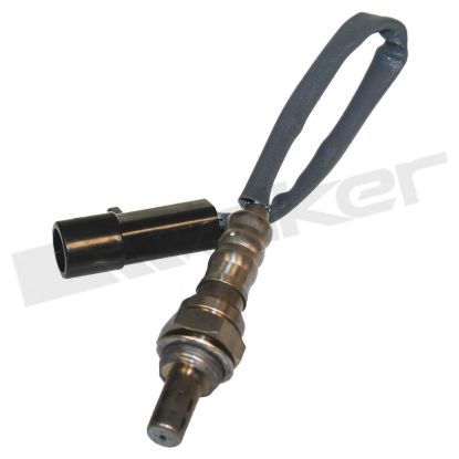 WALKER PROD. OXYGEN SENSOR - 35034399