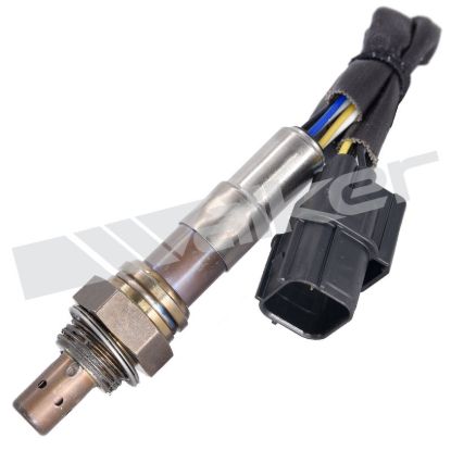 WALKER PROD. OXYGEN SENSOR - 35035003