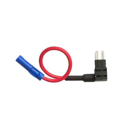 WIRTHCO MICRO2  TAPA CIRCUIT - 30203