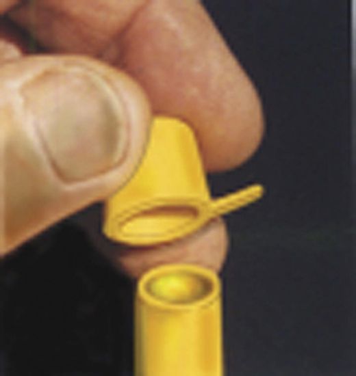 WIRTHCO FLEX-FUNNEL PT/QT/GL CAP - 32157