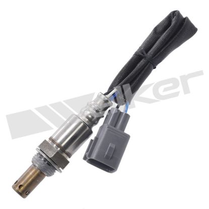 WALKER PROD. OXYGEN SENSOR - 35064017