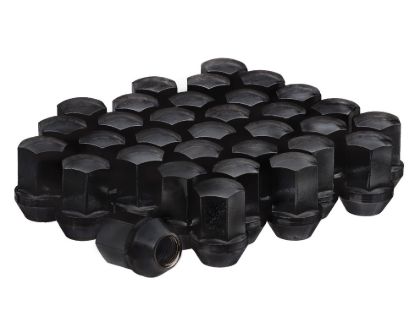 WC WHEEL ACC INSTALL KITS OE STYLE LUG NUTS 14X1 - DPC58236B