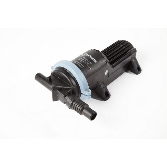 WHALE PUMP GULPER 220 24V - BP1554