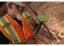 WILTON TOOLS 6 LB HEAD  16' B.A.S.H  SLEDGE HAMM - 20616