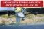 WEIGH SAFE 8INDROP T/OBALL 2IN SHANK - LTB82