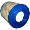 Picture of Crown Automotive Jeep Replacement Engine Air Filter - 4891097AA