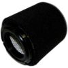 Picture of Crown Automotive Jeep Replacement Engine Air Filter - 4891967AC