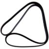 Picture of Crown Automotive Jeep Replacement Serpentine Belt - 53010284