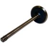 Picture of Crown Automotive Jeep Replacement Engine Intake Valve - 53010512AA